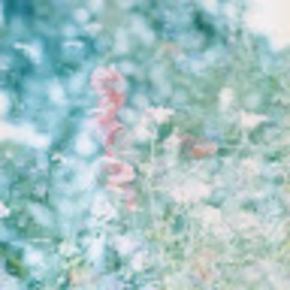 Meet the Posher Other - Meet your Posher, Lilia